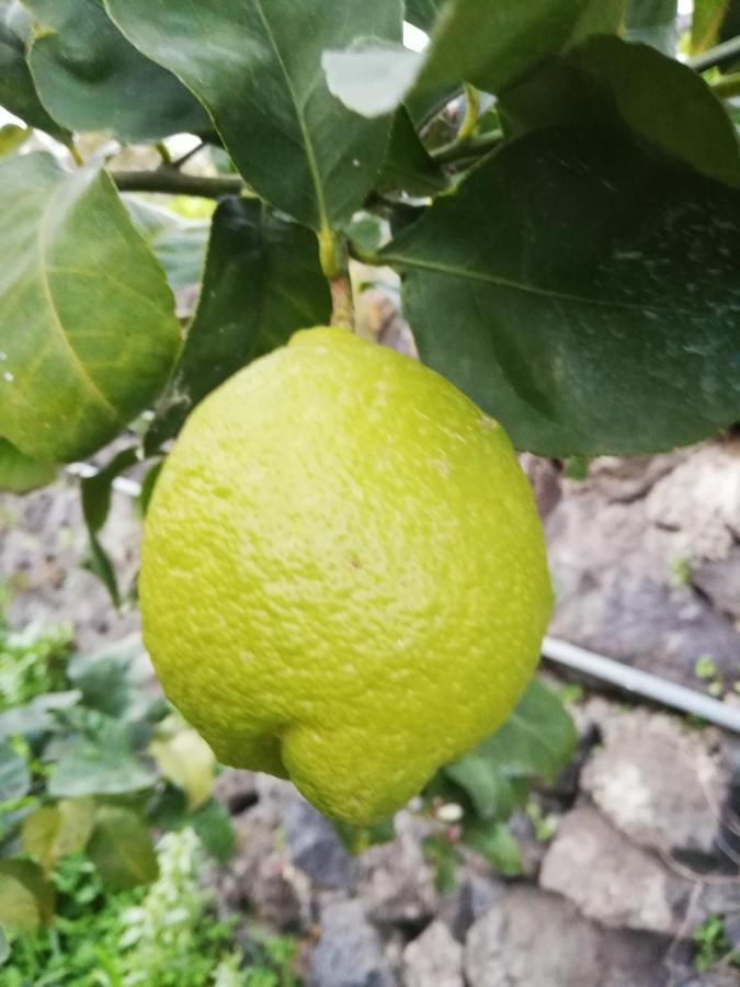 Apartamento Sole E Azzurro Fiumefreddo di Sicilia Exterior foto